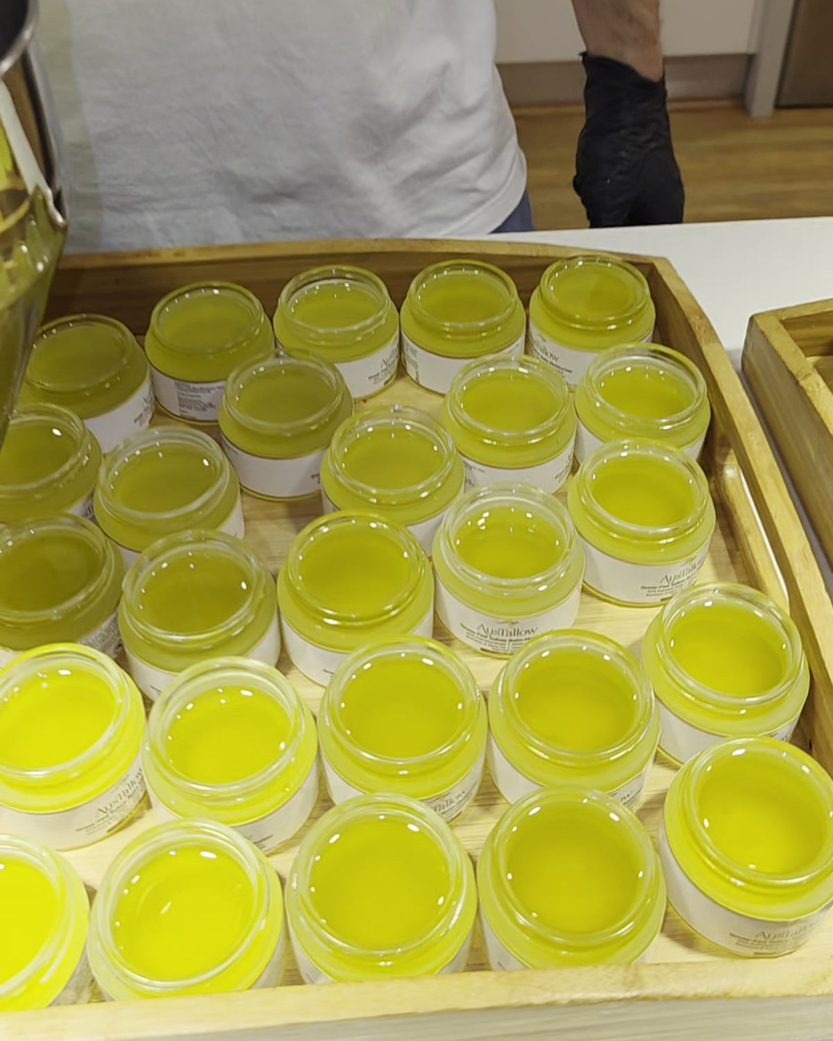 Tray of freshly poured AusTallow tallow balm jars setting after a small batch